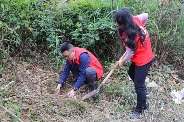 植此青绿 共“树”未来|泸县天兴镇组织开展义务植树活动(图3) 天兴3.jpg