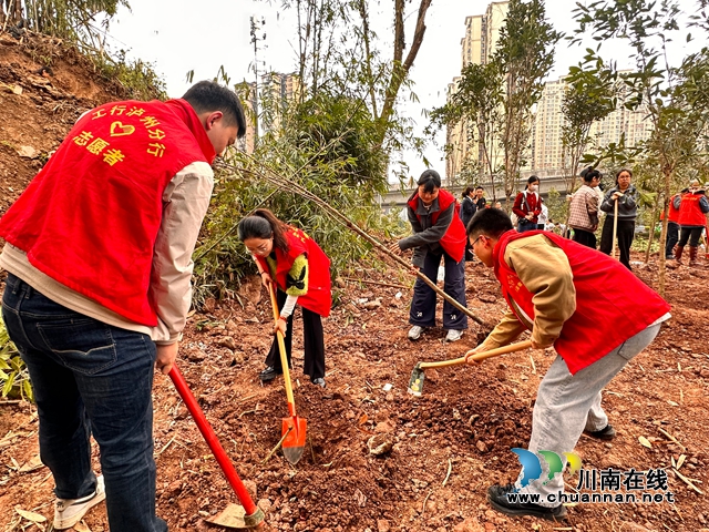 泸州:挥锹培土栽新绿 团青同心显担当(图1) 工行2.jpg