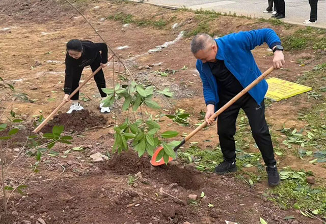 春风十里,不如植树有你丨泸州市口岸物流办开展义务植树活动(图3) 3.jpg