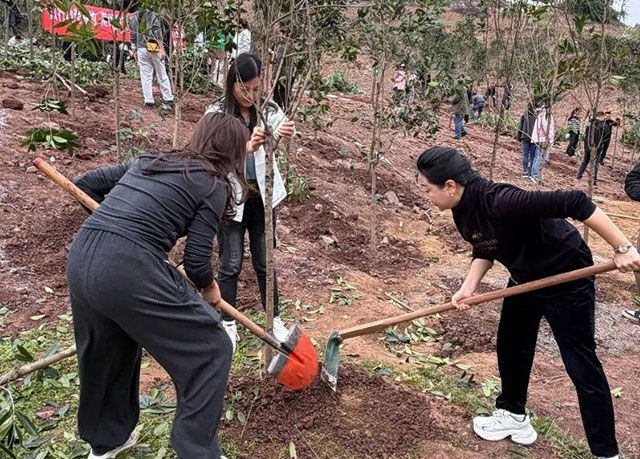 春风十里,不如植树有你丨泸州市口岸物流办开展义务植树活动(图2) 2.jpg