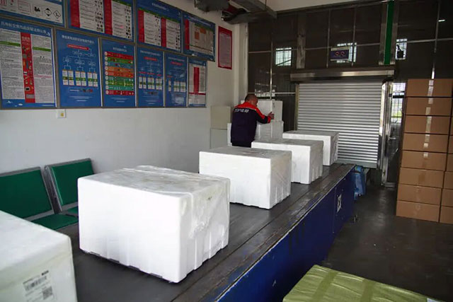 1770公里,古蔺豌豆尖9小时抢“鲜”入沪(图3) 3.jpg