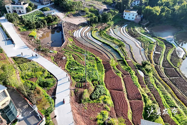 泸县乡贤捐10万+村民凑6万!这才是家乡该有的样子(图1) 1.jpg