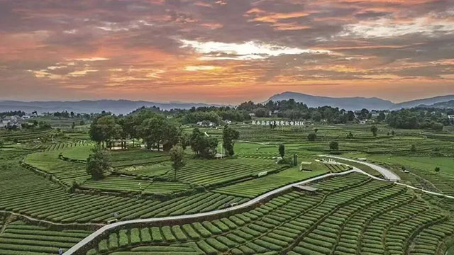 3月28—29日丨上茶山,解锁泸州慢生活(图2) 2.jpg