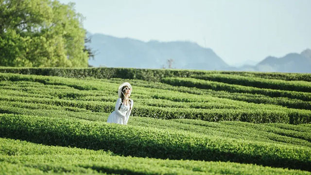 3月28—29日丨上茶山,解锁泸州慢生活(图6) 6.jpg