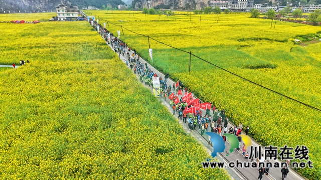 红色热土谱写文旅融合“春之信”!古蔺白沙场镇第十七届菜花文化旅游季盛大开幕(图21) 1 (23).jpg