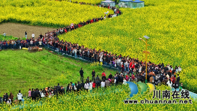 红色热土谱写文旅融合“春之信”!古蔺白沙场镇第十七届菜花文化旅游季盛大开幕(图22) 1 (26).jpg