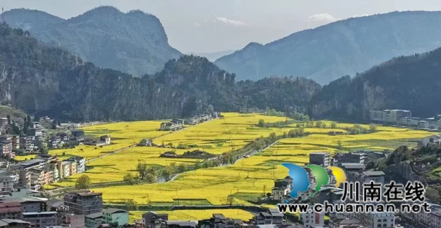 红色热土谱写文旅融合“春之信”!古蔺白沙场镇第十七届菜花文化旅游季盛大开幕(图9) 1 (14).jpg