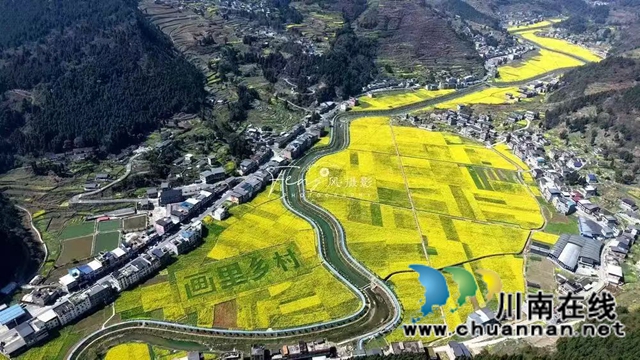 红色热土谱写文旅融合“春之信”!古蔺白沙场镇第十七届菜花文化旅游季盛大开幕(图8) 1 (13).jpg