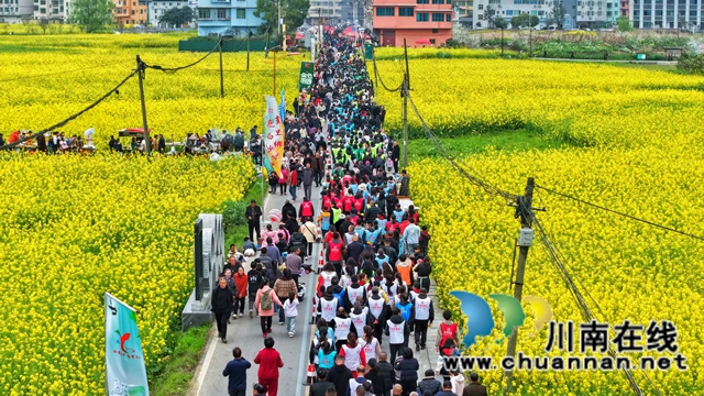 红色热土谱写文旅融合“春之信”!古蔺白沙场镇第十七届菜花文化旅游季盛大开幕(图13) 1 (2).jpg