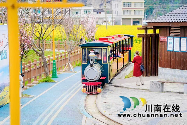 红色热土谱写文旅融合“春之信”!古蔺白沙场镇第十七届菜花文化旅游季盛大开幕(图16) 1 (8).jpg