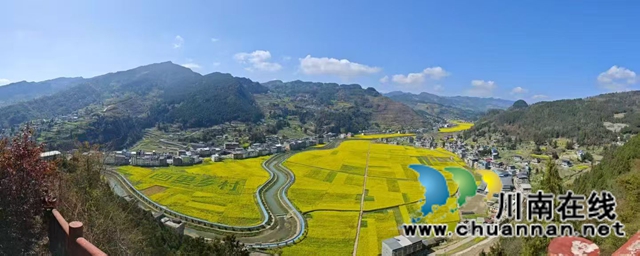 红色热土谱写文旅融合“春之信”!古蔺白沙场镇第十七届菜花文化旅游季盛大开幕(图18) 1 (10).jpg
