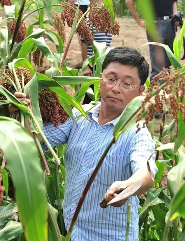 只一杯酒,泸州便入了文章(图13) 13.jpg