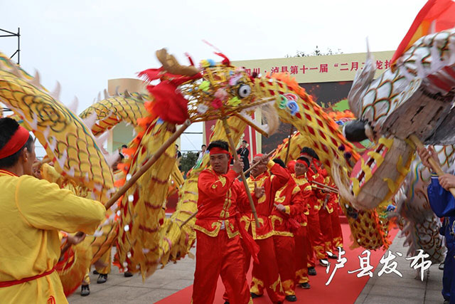 看龙舞、摸龙须、剃龙头!泸县龙抬头现场挤爆了(图12) 12.jpg