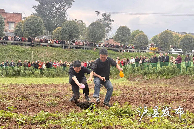 看龙舞、摸龙须、剃龙头!泸县龙抬头现场挤爆了(图21) 21.jpg