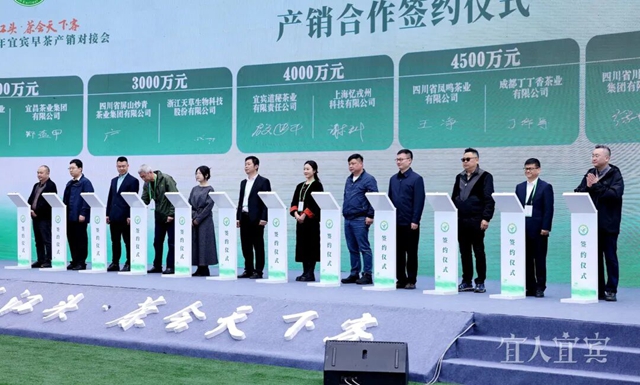 宜宾早茶市场热力“开局”,现场签约超800000000元(图2) 茶2.jpg