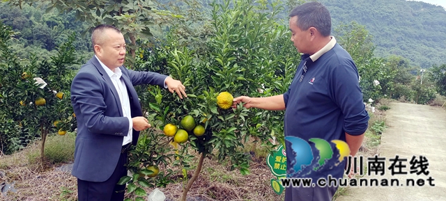图1：李强（左）向工人了解红橙销售.jpg