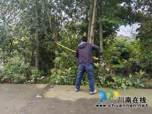 “剪”除隐患畅出行,美化乡村护平安|龙马潭区鱼塘街道王庄村开展道路树枝集中清理行动(图1) 微信图片_2026-03-26_143903_383.jpg