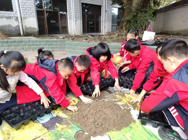 泸县牛滩镇玉峰学校:乡土育人的“葫芦密码”(图3) 3.jpg