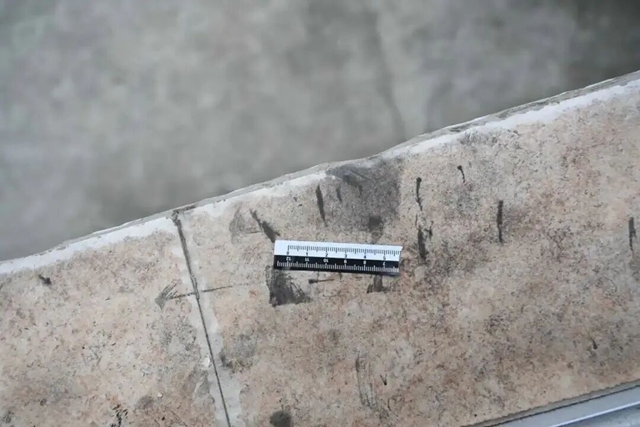 嫌疑人翻进二楼婚房……警犬破案!(图3) 3.jpg