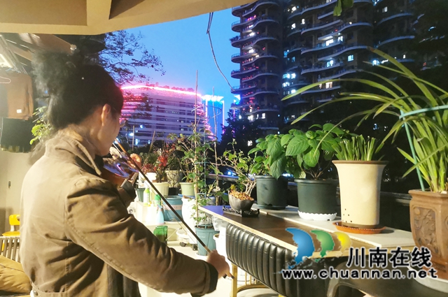 阳台:春韵乐章(图2) 02--.jpg