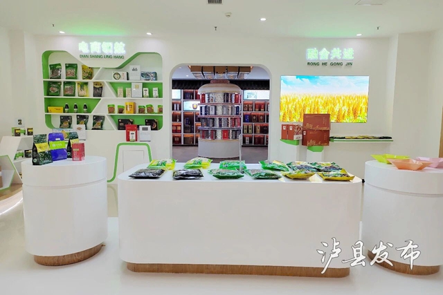 拎包入驻+三年免租!泸县电子商务产业园火热招商中(图4) 商4.jpg