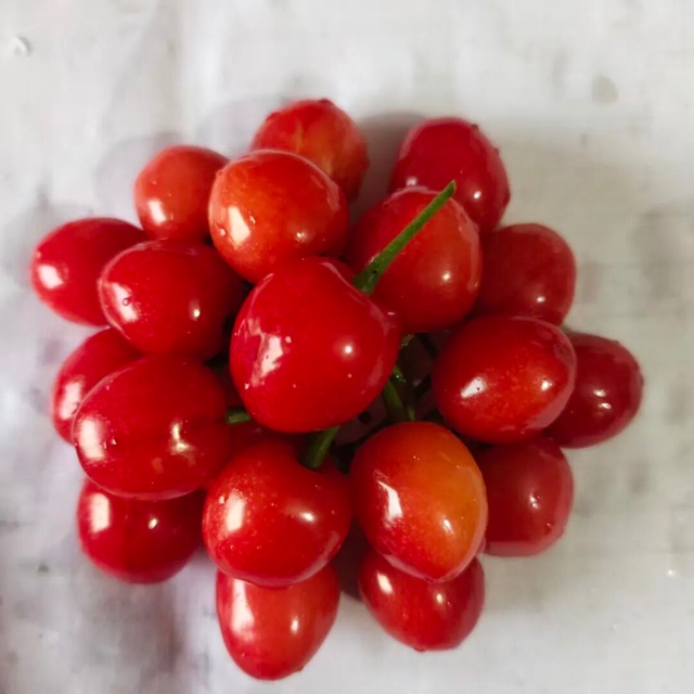 走,摘“恩桃儿”去~(图10) 桃11.jpg