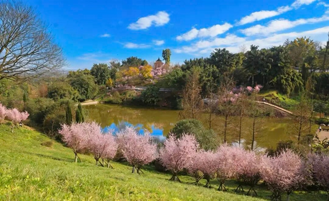 别辜负春光,这份泸州踏青出游打卡地请收好(图5) 5.jpg