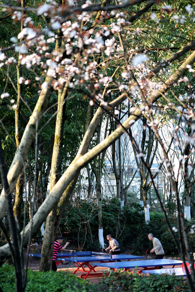 别辜负春光,这份泸州踏青出游打卡地请收好(图10) 10.jpg