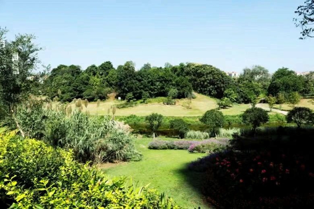 别辜负春光,这份泸州踏青出游打卡地请收好(图11) 11.jpg