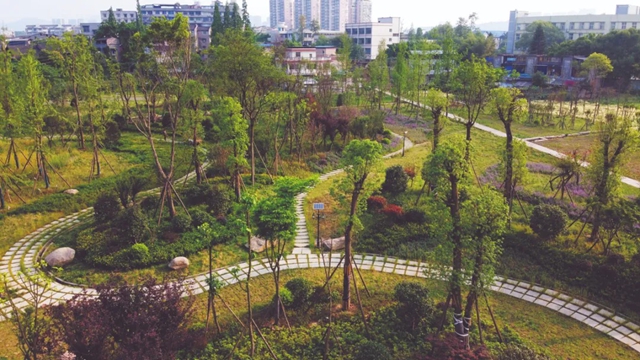 别辜负春光,这份泸州踏青出游打卡地请收好(图16) 16.jpg