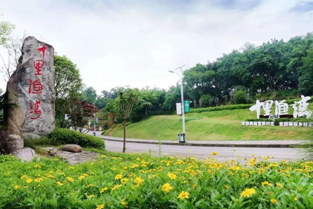 别辜负春光,这份泸州踏青出游打卡地请收好(图17) 17.jpg