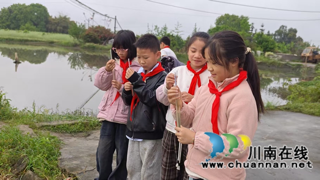 泸县云锦镇青狮学校学子探秘稻虾养殖(图3) 2.jpg