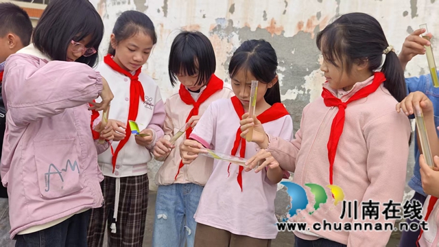 泸县云锦镇青狮学校学子探秘稻虾养殖(图2) 1.jpg