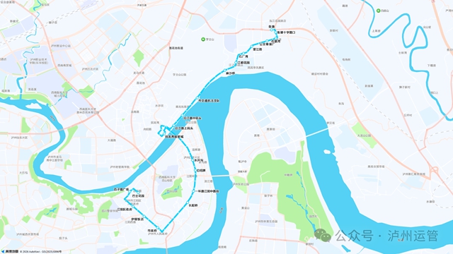 泸州:7条“敬老爱老专线”让老年人出行更省心、更暖心(图4) 4.jpg