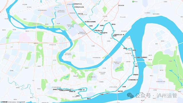 泸州:7条“敬老爱老专线”让老年人出行更省心、更暖心(图5) 5.jpg