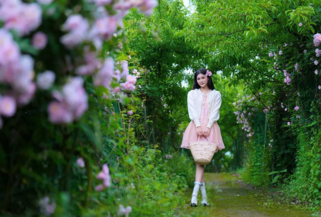 浪漫满屏,被泸州这两处蔷薇花海美到了(图8) 8.jpg