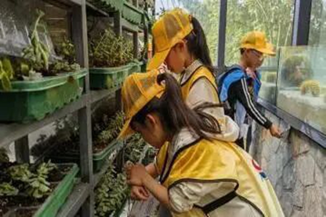 分忧托管丨酒城娃在实践中向阳生长(图12) 12.jpg