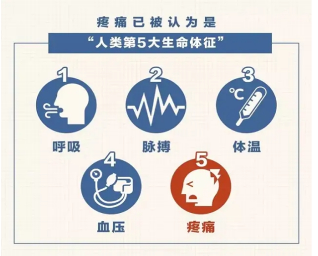 别硬扛!疼痛不是小事,是身体给你的紧急预警(图1) 医1.jpg