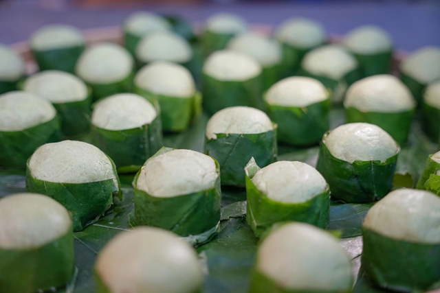 抠笋子、摘桑per……泸州的春天,太快乐了吧!(图8) 8.jpg