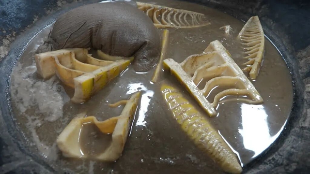 抠笋子、摘桑per……泸州的春天,太快乐了吧!(图22) 22.jpg