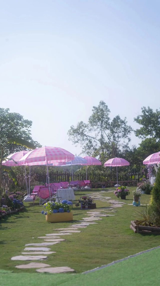 江阳区藏了个治愈小院,周末躺平太舒服(图1) 1.jpg