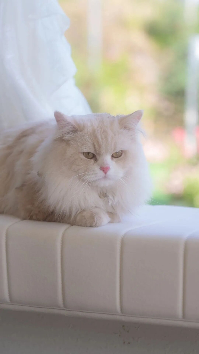 江阳区藏了个治愈小院,周末躺平太舒服(图7) 7.jpg