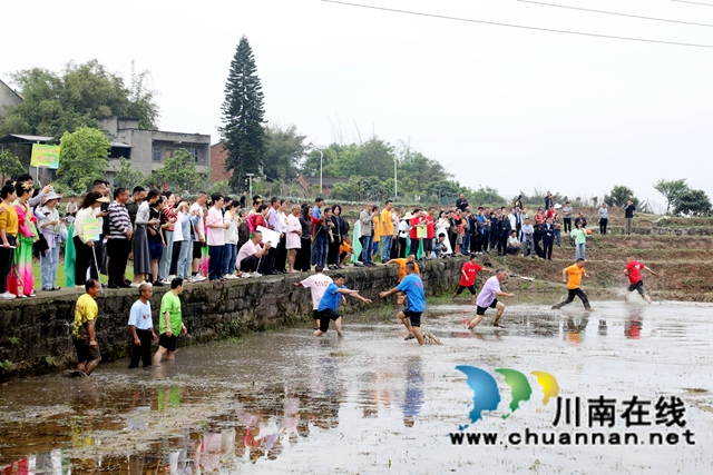 爬田坎比赛.JPG