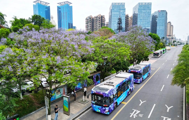 公交1.jpg