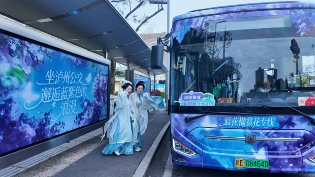 公交4.jpg