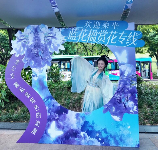 公交8.jpg