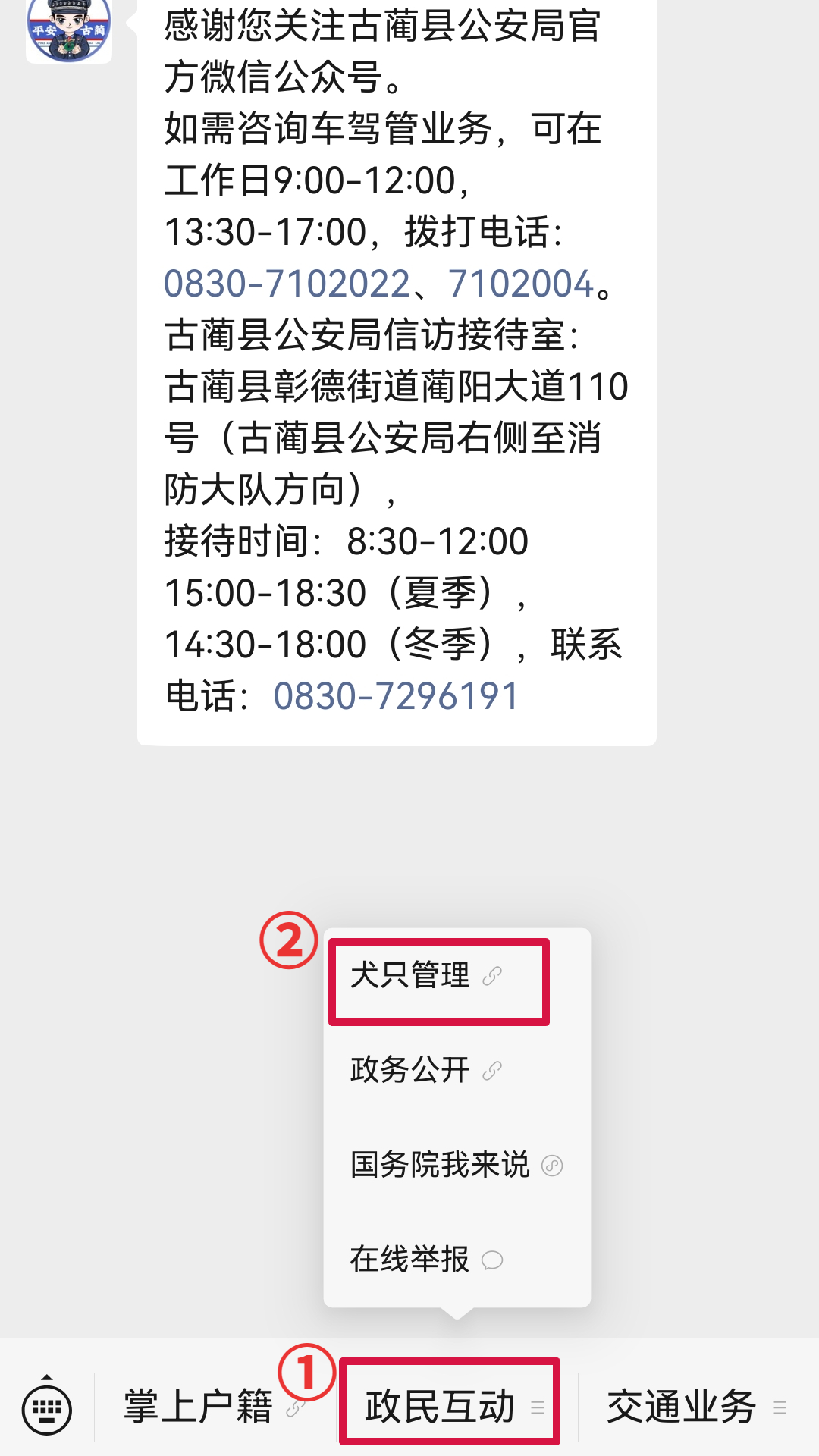 犬2.png