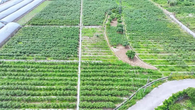 １４.jpg
