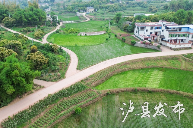 路７.jpg