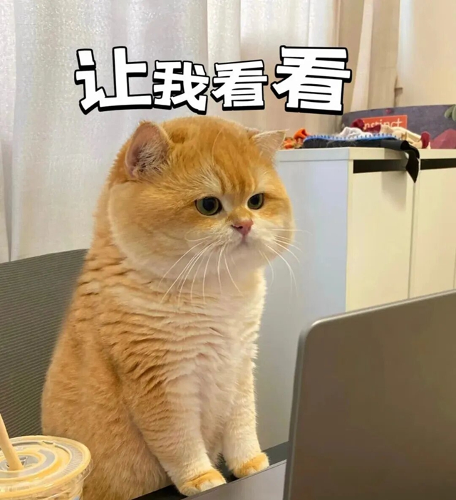 命２.jpg